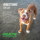Nutramax Welactin Daily Omega-3 Supplement For Dogs Skin & Coat Health Plus Overall Health 60 Soft Chews - Dog