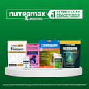 Nutramax Welactin Daily Omega-3 Supplement For Dogs Skin & Coat Health Plus Overall Health 60 Soft Chews - Dog