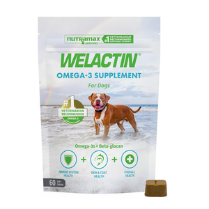 Nutramax Welactin Daily Omega-3 Supplement For Dogs Skin & Coat Health Plus Overall Health 60 Soft Chews - Dog