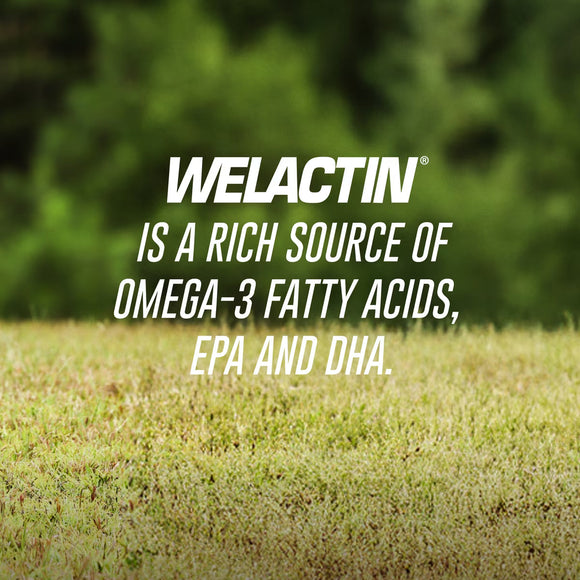 Nutramax Welactin Omega-3 Fish Oil Skin and Coat Health Supplement for Dogs 120 Softgels - Dog Supplements & Vitamins 5