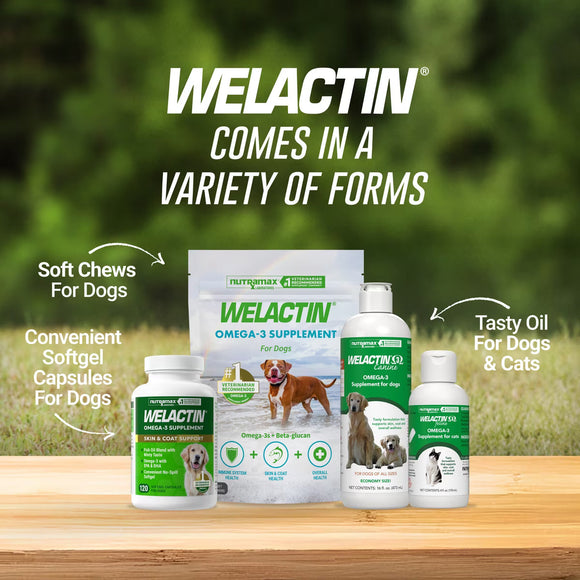 Nutramax Welactin Omega-3 Fish Oil Skin and Coat Health Supplement for Dogs 120 Softgels - Dog Supplements & Vitamins 7