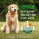 Nutramax Welactin Omega-3 Fish Oil Skin and Coat Health Supplement for Dogs 120 Softgels - Dog Supplements & Vitamins 4