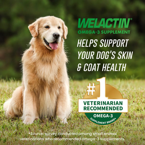 Nutramax Welactin Omega-3 Fish Oil Skin and Coat Health Supplement for Dogs 120 Softgels - Dog Supplements & Vitamins 4