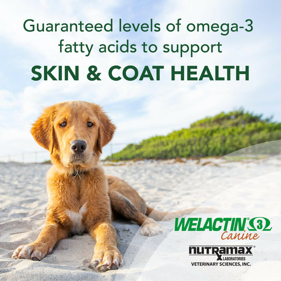 Welactin soft gels