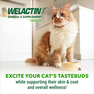 Nutramax Welactin Tidbits Dental Skin & Coat Health with Omega 3 Fish Oil Supplement for Cats 4.23-oz - Pet Vitamins &