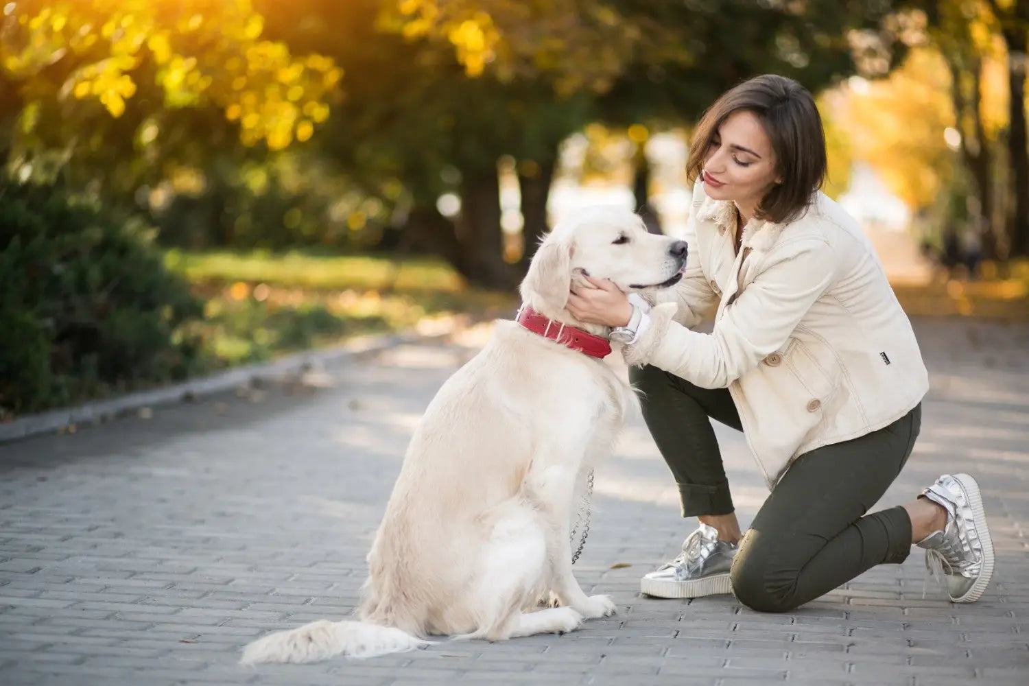 Top Joint Health for Dogs Comparison: Nutramax vs VetriScience