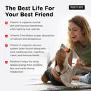 Nutri-Vet Multi-Vite Chewable Tablets for Dogs - Dog Supplements & Vitamins 4