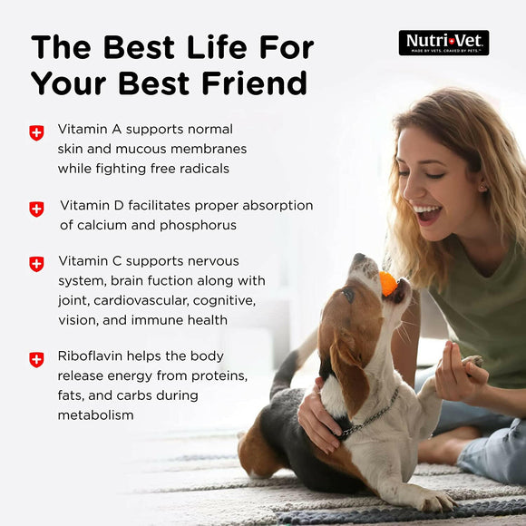 Nutri-Vet Multi-Vite Chewable Tablets for Dogs - Dog Supplements & Vitamins 4