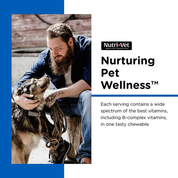 Nutri-Vet Multi-Vite Chewable Tablets for Dogs - Dog Supplements & Vitamins 6