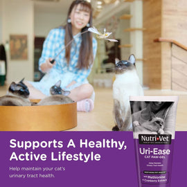 Nutri-Vet Uri-Ease Cat Paw-gel Urinary Supplement Salmon Flavored 3-oz - Cat Digestive & Probiotics Supplements 2
