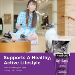 Nutri-Vet Uri-Ease Cat Paw-gel Urinary Supplement Salmon Flavored 3-oz - Cat Digestive & Probiotics Supplements 2