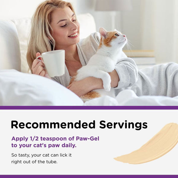 Nutri-Vet Uri-Ease Cat Paw-gel Urinary Supplement Salmon Flavored 3-oz - Cat Digestive & Probiotics Supplements 5