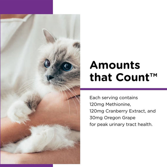 Nutri-Vet Uri-Ease Cat Paw-gel Urinary Supplement Salmon Flavored 3-oz - Cat Digestive & Probiotics Supplements 3