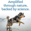 NutriSource AmpliFull Mobility Soft Chews Dogs Supplement Turkey Flavor 70-count - Dog Hip & Joint Supplements 7