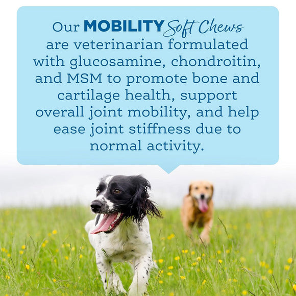 NutriSource AmpliFull Mobility Soft Chews Dogs Supplement Turkey Flavor 70-count - Dog Hip & Joint Supplements 6