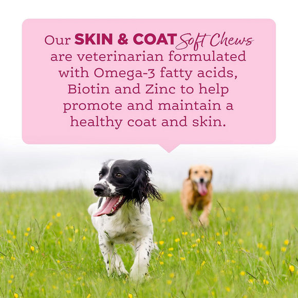 NutriSource AmpliFull Skin & Coat Soft Chews Dogs Supplement