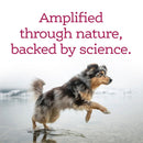 NutriSource AmpliFull Skin & Coat Soft Chews Dogs Supplement