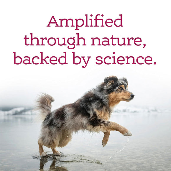 NutriSource AmpliFull Skin & Coat Soft Chews Dogs Supplement