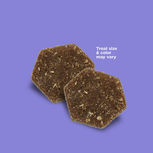 NutriSource Big Bites with Beef Treats For Dog (14 oz)