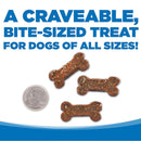 NutriSource Soft Tender Dog Treats with Chicken