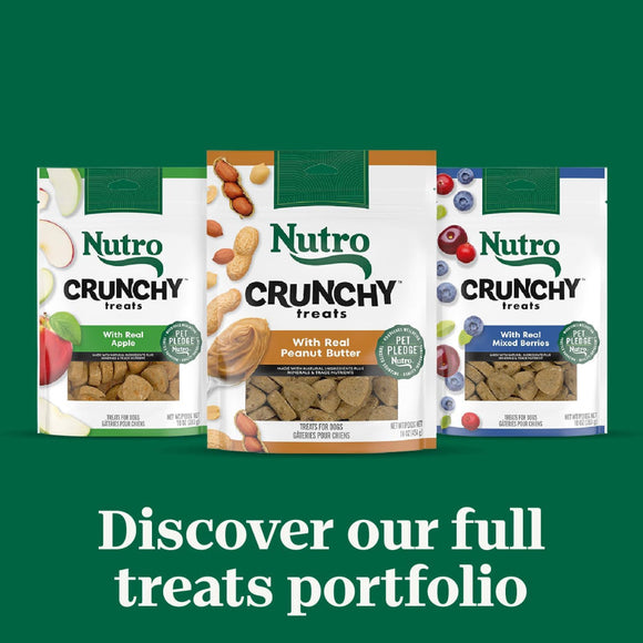 Nutro Crunchy Biscuits with Real Apple Treats For Dog