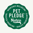 Nutro Crunchy Biscuits with Real Apple Treats For Dog