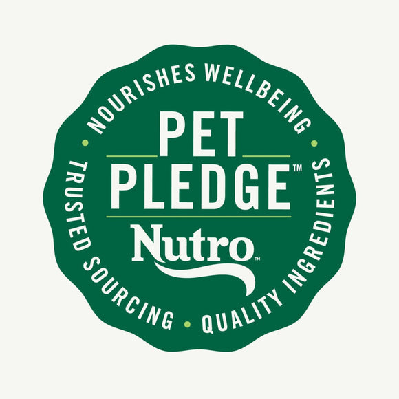Nutro Crunchy Biscuits with Real Apple Treats For Dog