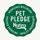 Nutro Crunchy Biscuits with Real Mixed Berries Treats For Dog