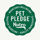 Nutro Crunchy Biscuits with Real Peanut Butter Treats For Dog