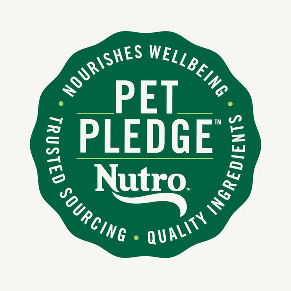 Nutro Crunchy Biscuits with Real Peanut Butter Treats For Dog