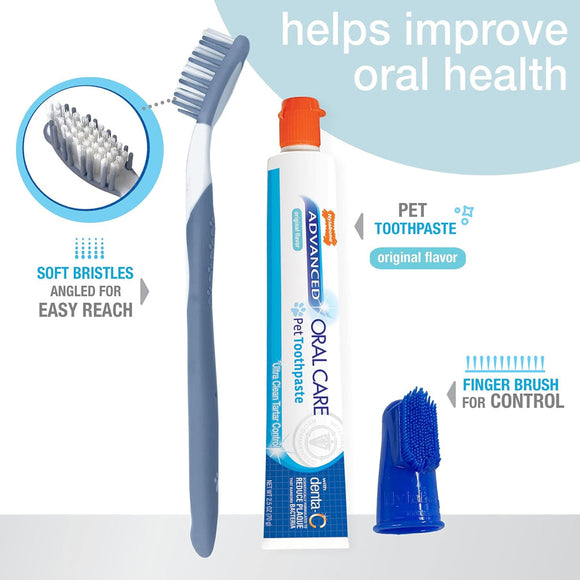Nylabone Advanced Oral Care Dog Dental Kit