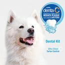 Nylabone Advanced Oral Care Dog Dental Kit