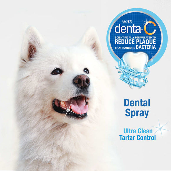 Nylabone Advanced Oral Care Fresh Breath Dental Spray For Dogs (4 oz)