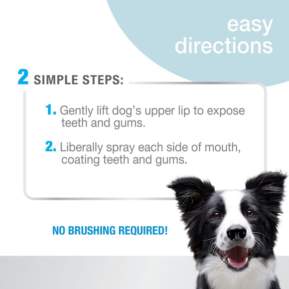 Nylabone Advanced Oral Care Fresh Breath Dental Spray For Dogs (4 oz)