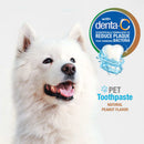 Nylabone Advanced Oral Care Natural Toothpaste- Peanut Butter Flavor (2.5 oz)