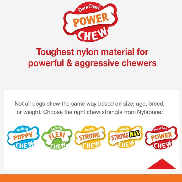 Nylabone Antler Alternative Power Chew Dog Toy