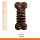 Nylabone Chill & Chew Medley Flavor Flexi Dog Chew Toy