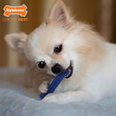 Nylabone Healthy Edibles and Flexi Chew Value Pack, Chicken & Bacon Flavor