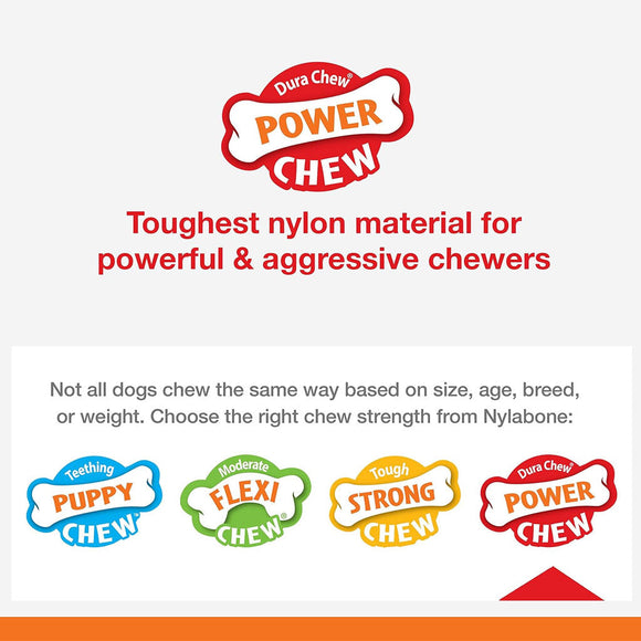 Nylabone Power Chew Basted Blast Dual Flavored Dog Chew Toys