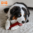 Nylabone Power Chew Basted Blast Dual Flavored Dog Chew Toys