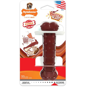 Nylabone Power Chew Basted Blast Dual Flavored Dog Chew Toys, Medium