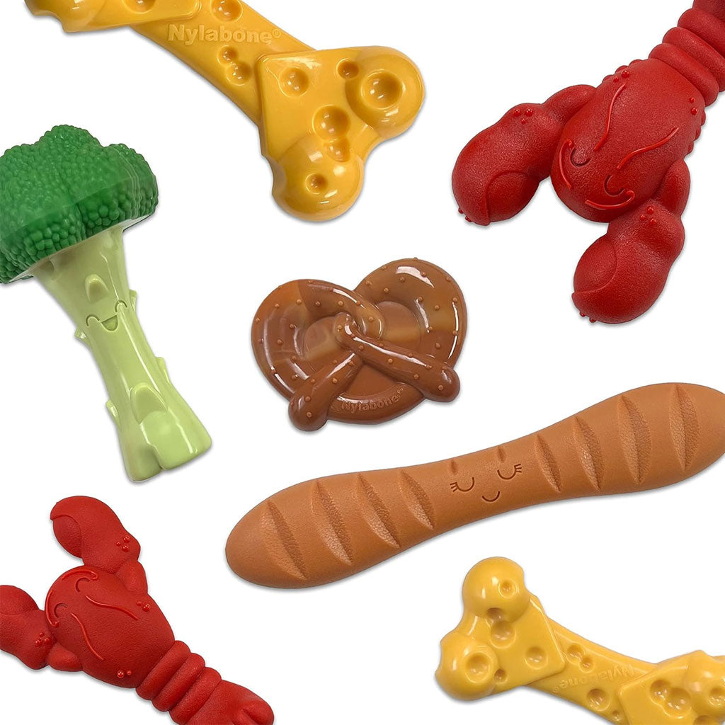 Chew Strong: Nylabone Broccoli Bacon & Cheese Toy!
