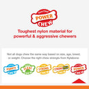 Nylabone Power Chew Monster Bone Big Dog Chew Toy Chicken