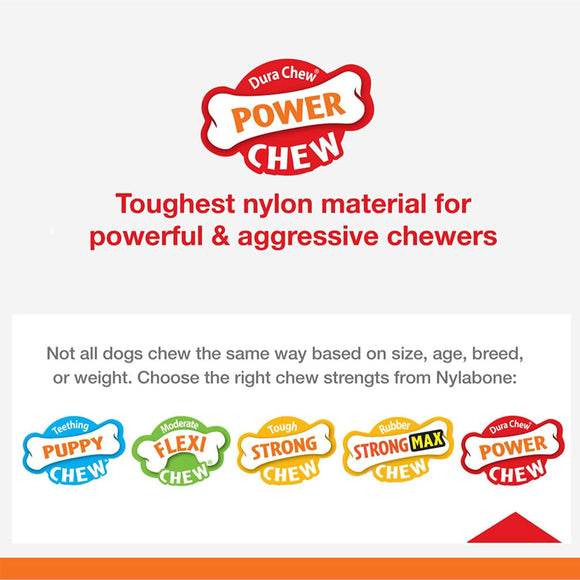 Nylabone Power Chew Monster Bone Big Dog Chew Toy Chicken