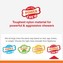 Nylabone Power Chew Pretzel Dog Toy Bacon & Peanut Butter