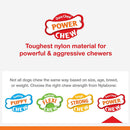 Nylabone Power Chew Rolling Dog Toy, Blue