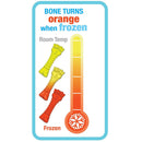 Nylabone Puppy Chew Freezer Teething Chill & Chew Dog Toy, Lamb & Apple Flavor