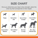 Nylabone Sneaky Snacker Bacon Flavor Dog Treat Toy, Orange