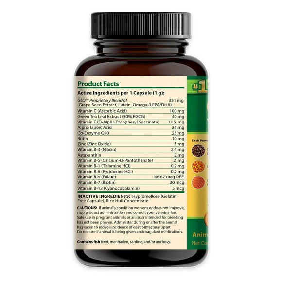 Active & Inactive Ingredients of Ocu-GLO PBXL Vision Powder Capsules for Medium & Large Dogs
