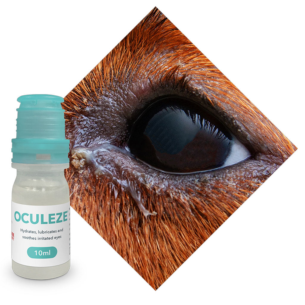 Oculeaze Eye Drops for Dogs & Cats, 10-ml